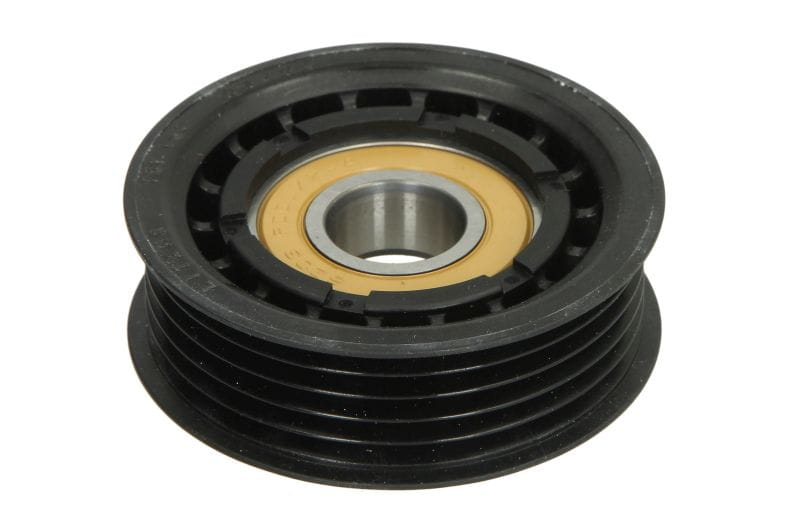 EVR55147